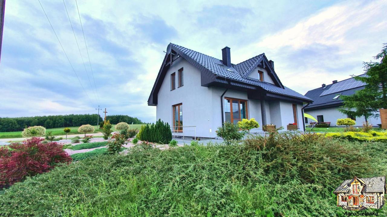Agrosielanka Villa Lipnica  Eksteriør bilde