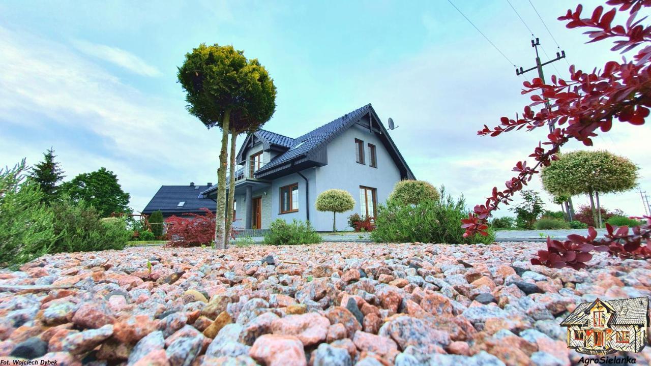 Agrosielanka Villa Lipnica  Eksteriør bilde